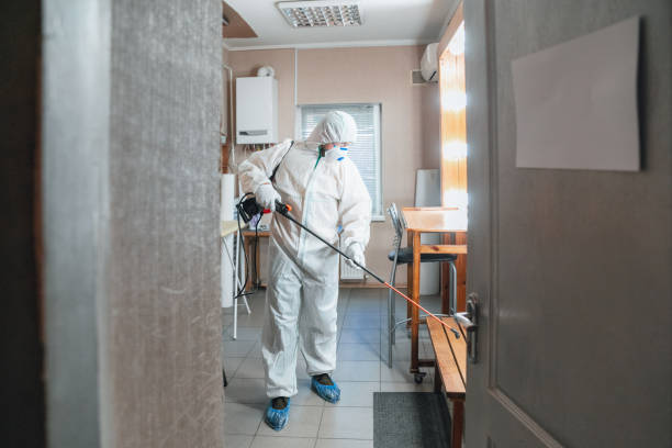 Best Mold Remediation for Vacation Homes  in Monahans, TX