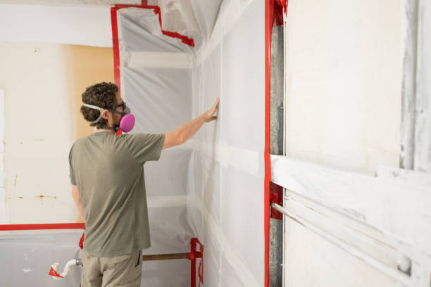 Best Mold Removal for HVAC Installations  in Monahans, TX