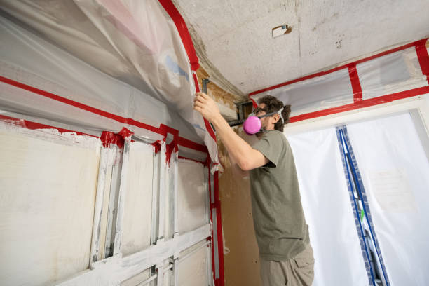 Best Real Estate Mold Inspection  in Monahans, TX