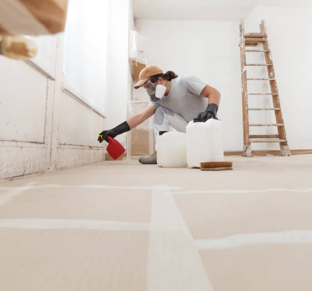 Best Residential Mold Inspection & Testing  in Monahans, TX